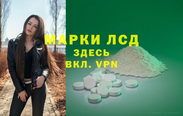 стаф Дмитровск