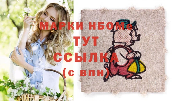 прущие грибы Дмитриев