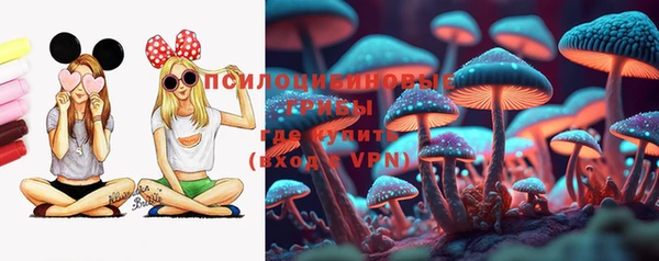 apvp Вязьма